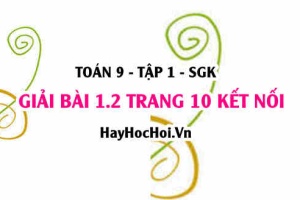 Bài 1.2 trang 10 Toán 9 tập 1 Kết nối tri thức SGK